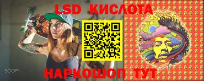 кокс Кингисепп