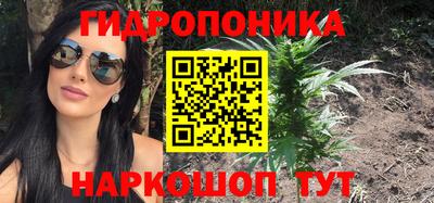 кокс Кингисепп