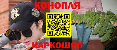 кокс Кингисепп