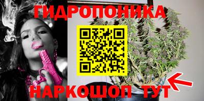 мет Кимры