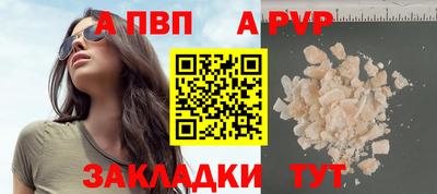 кокс Кингисепп