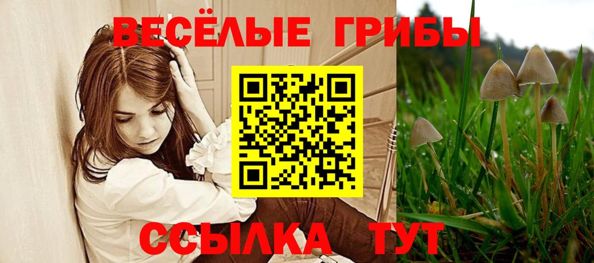 Галлюциногенные грибы Psilocybine cubensis  Псилоцибиновые грибы Psilocybine cubensis  Вход с VPN  Юрга 